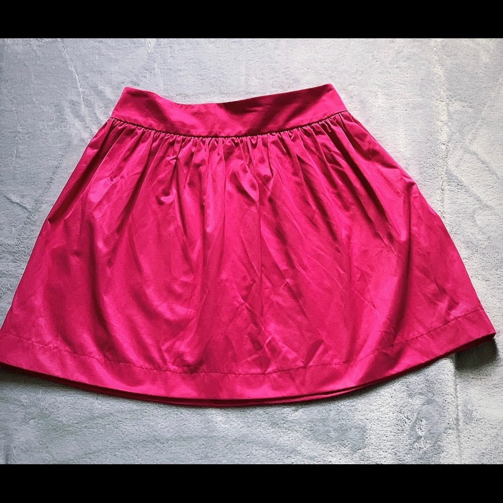 Zara Skirt